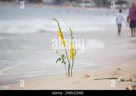 fleurs en l'honneur d'iemanja, lors d'une fête à la plage de copacabana. Banque D'Images