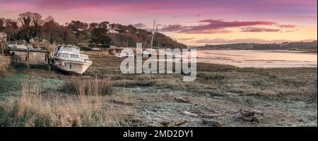 Le bois flotté le rivage à marée basse tandis que le soleil se lève un matin froid de janvier à Lower Cleave près de Bideford dans le North Devon. Banque D'Images