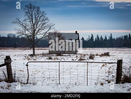 Ancienne ferme abandonnée dans une scène d'hiver avec des trtes et une ancienne porte. Banque D'Images