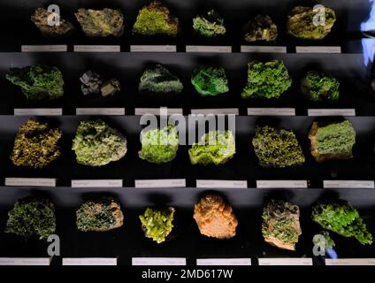 Vienne, Autriche, décembre 2019 : échantillons de minéraux et de pierres au Musée d'Histoire naturelle (Musée Naturahistisches) Banque D'Images
