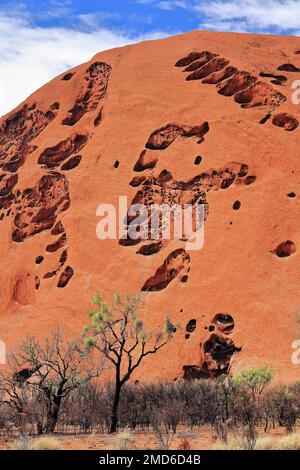 435 ensembles de trous formant des motifs mystérieux et des dessins sur Uluru-Ayers Rock vus depuis la promenade de base. NT-Australie-435 Banque D'Images
