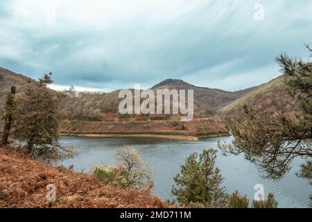 Une vue sur un beau lac entouré de montagnes couvertes de fougères rouges. Banque D'Images