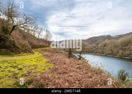 Une vue sur un beau lac entouré de montagnes couvertes de fougères rouges. Banque D'Images