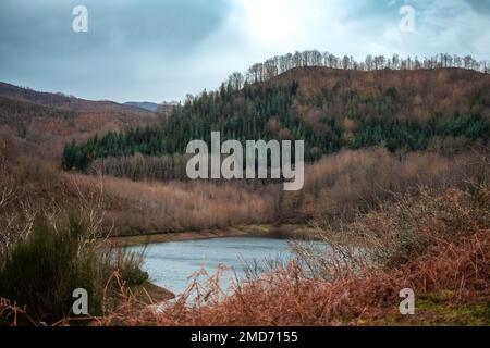 Une vue sur un beau lac entouré de montagnes couvertes de fougères rouges. Banque D'Images