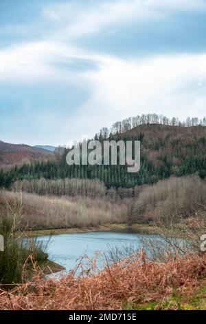 Une vue sur un beau lac entouré de montagnes couvertes de fougères rouges. Banque D'Images