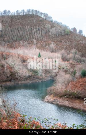 Une vue sur un beau lac entouré de montagnes couvertes de fougères rouges. Banque D'Images