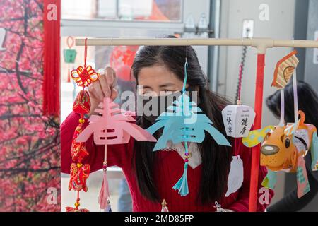 Detroit, Michigan, États-Unis. 22nd janvier 2023. La Michigan Taiwanais American Organization célèbre le nouvel an lunaire avec un défilé, la danse du lion et la danse du dragon au parc Valade. Une femme est suspendue à une exposition de lanternes de ciel en papier. Crédit : Jim West/Alay Live News Banque D'Images