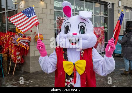 Detroit, Michigan, États-Unis. 22nd janvier 2023. La Michigan Taiwanais American Organization célèbre le nouvel an lunaire avec un défilé, la danse du lion et la danse du dragon au parc Valade. Une femme en costume de lapin détient des drapeaux américains et taïwanais. La nouvelle année est l'année du lapin. Crédit : Jim West/Alay Live News Banque D'Images