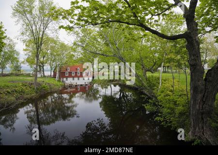 Moulin Beaumont au printemps, Chaudière-Appalaches, Québec, Canada. Banque D'Images