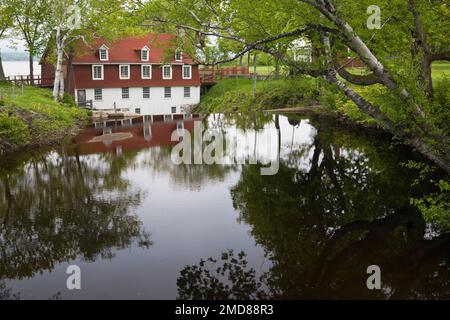 Moulin Beaumont au printemps, Chaudière-Appalaches, Québec, Canada. Banque D'Images