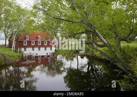 Moulin Beaumont au printemps, Chaudière-Appalaches, Québec, Canada. Banque D'Images