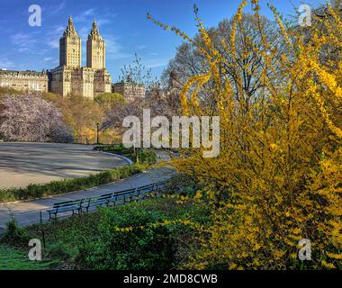 Printemps à Central Park, New York, tôt le matin Banque D'Images