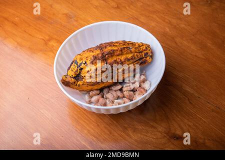 Dosette de cacao dans un bol avec les grains retirés, traitement des grains pour créer du chocolat Banque D'Images