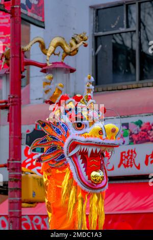 Dragons, parade du nouvel an lunaire chinois, Chinatown, Vancouver, Colombie-Britannique, Canada Banque D'Images