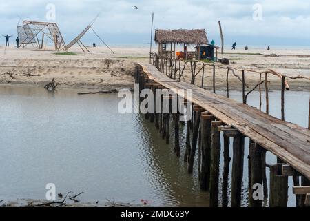 pont en bois au milieu de la plage de mangrove dans le paysage de la nature Banque D'Images