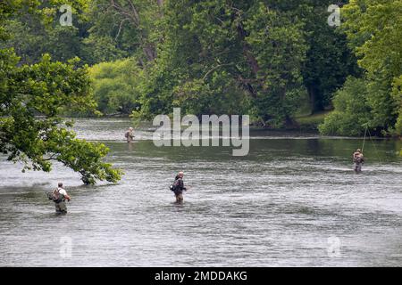Les pêcheurs pêchent sur la rivière Youghiogheny en aval du barrage à Confluence, Pennsylvanie, le 15 juillet 2022. Youghiogheny River Lake est exploité comme réservoir par le corps of Engineers des États-Unis Pittsburgh District. Le réservoir offre une réduction des risques d'inondation dans les vallées de Youghiogheny et de la rivière Monongahela inférieure et dans la partie supérieure de la rivière Ohio. Le lac Youghiogheny River offre des possibilités de camping, de sports nautiques, de pistes cyclables et de pêche aux résidents et aux visiteurs. Ingénieurs de l'armée, lac, district de Pittsburgh, USACE, Yioghiogheny, réservoir, Banque D'Images