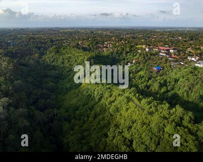 Vue aérienne du sentier de l'artiste à Ubud, Bali. Banque D'Images