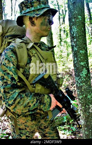 Hôpital Corpsman 1st classe Douglas Dembroge, 2nd Bataillon, 24th Marines, effectue une patrouille de contact avec d'autres Corpsman et Marines sur 22 juillet 2022, pendant l'entraînement à North Post à fort McCoy, Wisconsin. Le 2/24 est un bataillon d'infanterie basé à Chicago, composé d'environ 1 000 Marines et marins. Le bataillon relève du Régiment de Marine de 23rd et de la Division Marine de 4th. Le 2/24 organise une formation annuelle à fort McCoy. (Photos de Scott Sturkol, Bureau des affaires publiques de fort McCoy) Banque D'Images