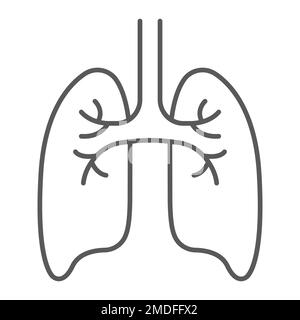 Poumons icône de ligne mince, anatomie et biologie, le signe de pulmonologie, graphiques vectoriels, un modèle linéaire sur un fond blanc, eps 10. Illustration de Vecteur