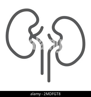 Icône de ligne rénale, anatomie et biologie, signe urologique, graphiques vectoriels, un motif linéaire sur fond blanc, eps 10. Illustration de Vecteur