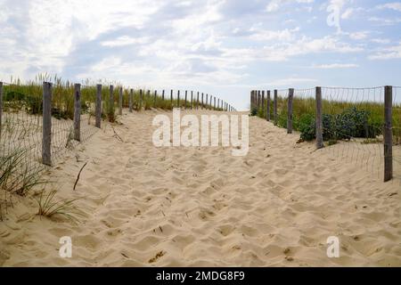 Accès de la côte allée de sable avec clôture à la plage de l'océan côte atlantique à Cap Ferret en France Banque D'Images