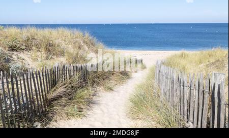 Accès à l'océan de sable allée clôture en bois à l'océan plage de mer côte atlantique à Cap-Ferret en France Banque D'Images