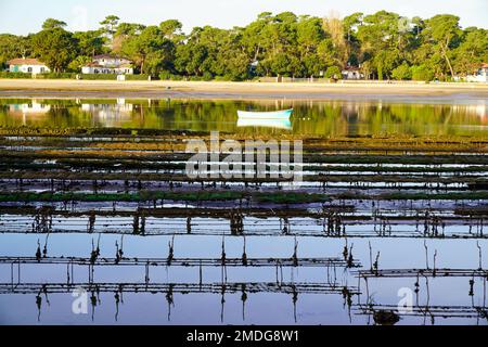 ferme d'huîtres installée dans le canal du lac hossegor Banque D'Images