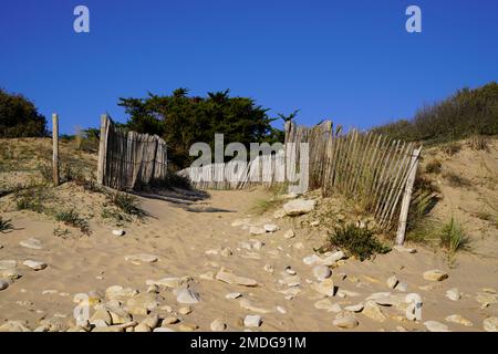 Accès océan sentier de sable clôture en bois à la plage océan côte atlantique de la mer en France Banque D'Images