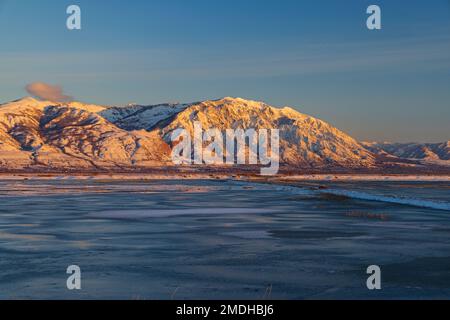 Majestueuse Willard Mountain, le jour de janvier ensoleillé. Cette vue donne vers le sud-est depuis la refuge d'oiseaux migrateurs de Bear River, Utah, États-Unis. Banque D'Images