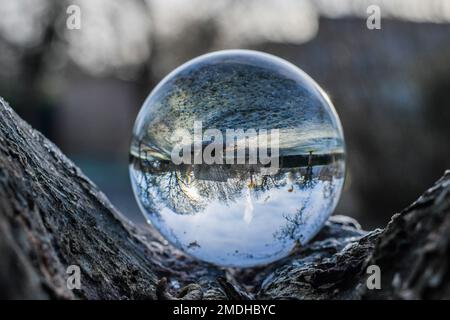 Concept d'environnement, une boule de cristal repose sur un arbre, reflet du paysage. concept et thème de la nature, protection de l'environnement, scène hivers Banque D'Images