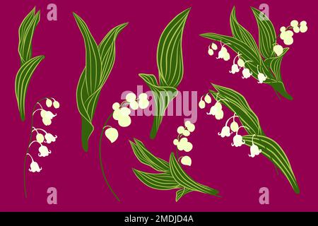 Set de printemps avec le lis de la vallée des fleurs et des herbes. Illustration botanique. Illustration de Vecteur