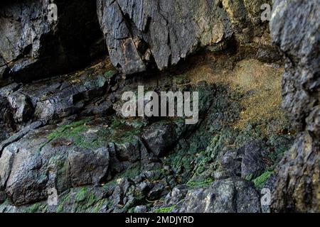 mousse sur des pierres de granit dans une ancienne carrière comme un fond, mousse sur des pierres sur un carré comme un fond, pierres de nature Banque D'Images