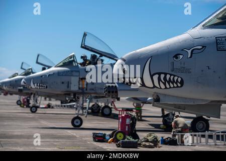 Les avions Thunderbolt II a-10 du groupe de chasseurs 924th de la base aérienne Davis-Monthan, Arizona, se préparent à prendre le décollage en soutien du RIMPAC 22 à la base des corps maritimes d'Hawaï 25 juillet 2022. Vingt-six nations, 38 navires, trois sous-marins, plus de 170 avions et 25 000 membres du personnel - y compris les aviateurs du 624 RSG - participent à la #RIMPAC2022 de 29 juin à août 4 dans et autour des îles hawaïennes et de la Californie du Sud. Le plus grand exercice maritime international au monde, RIMPAC offre une occasion de formation unique tout en favorisant et en soutenant des relations de coopération Banque D'Images