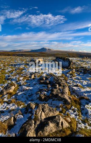 Ingleborough et erratiques glaciaires sur la cicatrice de Keld Head au-dessus de Kingsdale dans le Yorkshire Banque D'Images