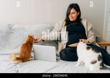 Une femme enceinte d'âge moyen s'assoit sur le canapé à la maison et les chats d'animaux domestiques. Banque D'Images