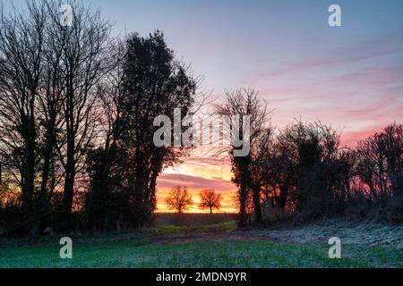 Lever de soleil en hiver dans la campagne de l'oxfordshire près de Swacliffe. Oxfordshire, Angleterre Banque D'Images