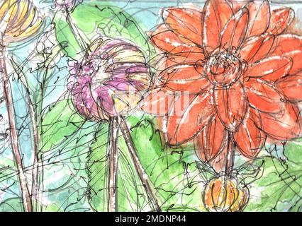 Illustration en couleur des dahlias orange et violet. Banque D'Images