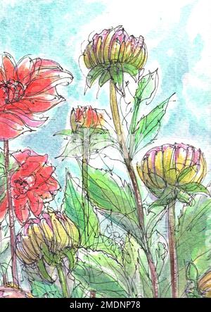 Illustration en couleur des dahlias orange et violet. Banque D'Images