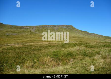 Le NAB sur le sanglier est tombé de Mallerstang Common dans la vallée d'Eden, dans le parc national de Yorkshire Dales, Angleterre, Royaume-Uni Banque D'Images