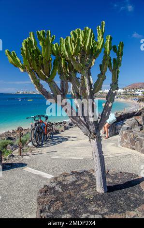 Lanzarote & Fortaventura, îles Canaries, Espagne Banque D'Images