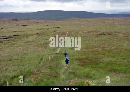 Deux hommes marchant sur Path by Wire Fence de Great Shunner est tombé et se dirigeant vers Lovely Seat à Wensleydale dans le parc national de Yorkshire Dales, en Angleterre Banque D'Images