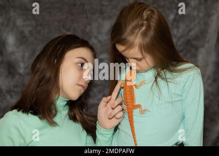 Portrait de jolies filles avec Agama iguana barbu rouge sur fond gris. Deux petits enfants jouant avec reptile. Mise au point sélective. Photo de haute qualité Banque D'Images