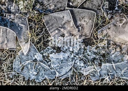 Brisures de glace sur l'eau de l'île de la mer des wadden Fanoe fanø, Danemark Banque D'Images