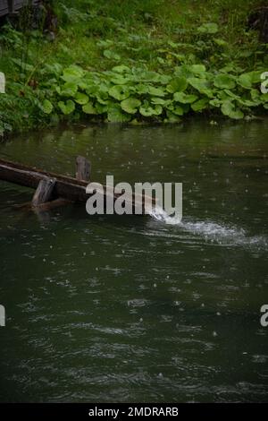 Un étang dans lequel il y a un petit canal en bois où l'eau coule à travers Banque D'Images