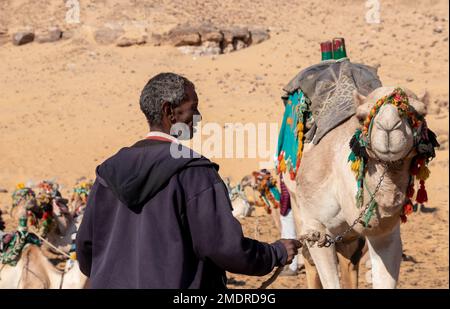 ASSOUAN, ÉGYPTE - 29 décembre 2022. Vieil homme nubien, égyptien tirant un chameau dans le désert. Notion d'abus de cruauté envers les animaux Banque D'Images