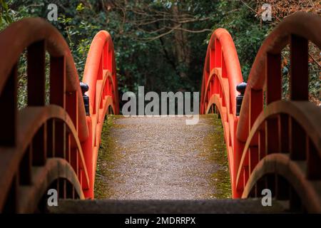 Balustrades rouges sur un pont voûté vide avec arbres et feuillage en arrière-plan Banque D'Images