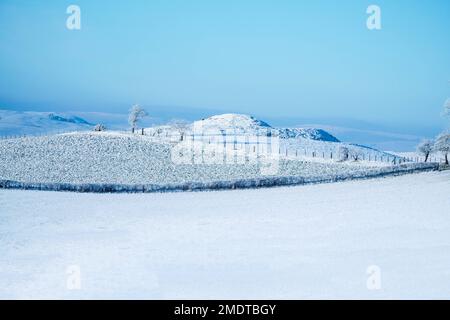 Flanc de coteau enneigé autour de Llandegley Powys, au centre du pays de Galles, au Royaume-Uni. Décembre 2022 Banque D'Images