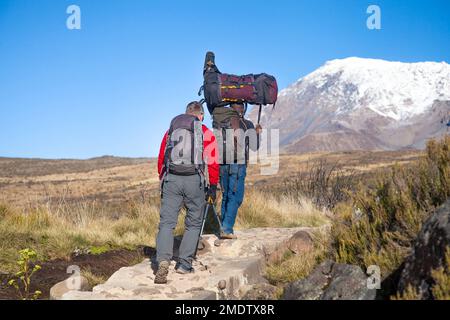 Un porteur transportant une lourde charge sur sa tête sur le chemin de la montagne Kilimandjaro. Tanzanie. Banque D'Images