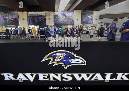 A tailgate party at Baltimore Ravens game at M&T Bank Stadium, Baltimore  Stock Photo - Alamy