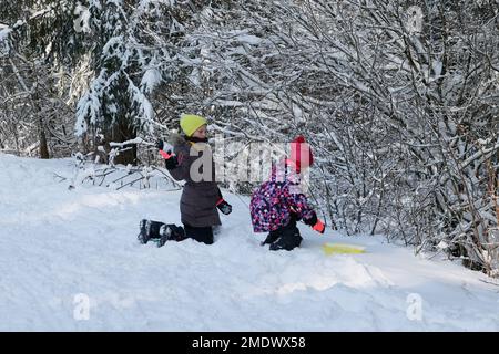 20230121 - BARAQUE-FRAITURE : forte affinité de touristique de principe néerlandophone à la Barque Fraiture suite aux chutes de neige. - Fort affuen Banque D'Images